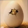 CHICK