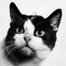 Felicette the Space Cat (FELICETTE)