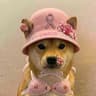 Tumor inu (TUMORINU)